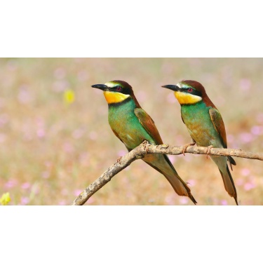 Preču sadaļa - 7.4